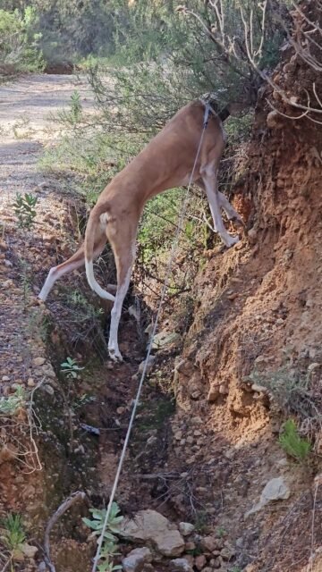 If only it smelled so interesting 😉