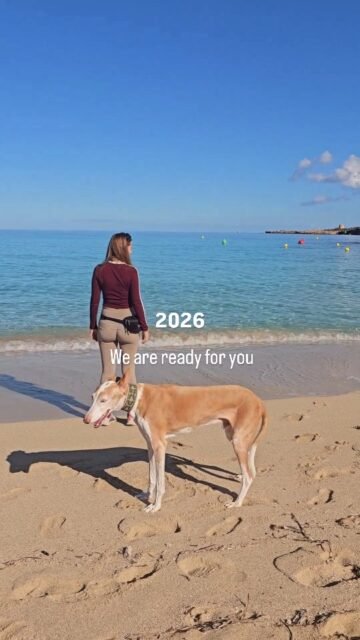 2026 ✨Grateful for the present and excited about everything that lies ahead.Thank you for allowing us to be part of it.