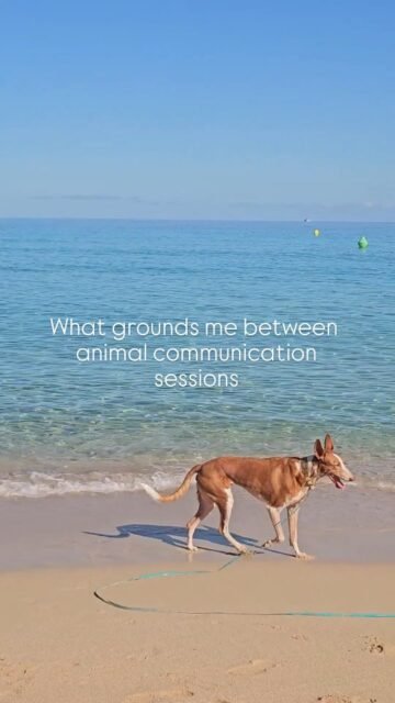 Nature, movement and the sea 🏝✨️🤍