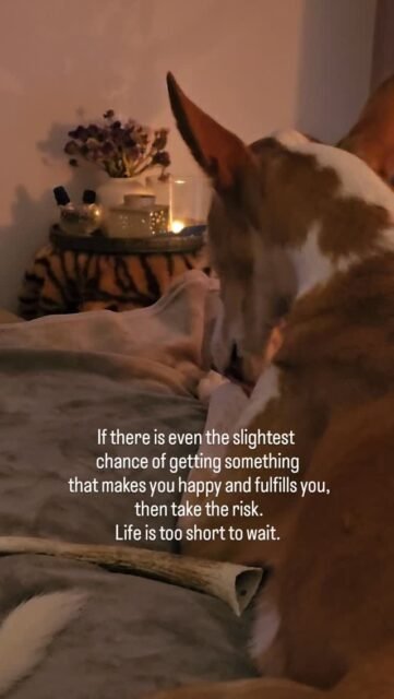 If there is even the slightest chance of getting somethingthat makes you happy and fulfills you,then take the risk.Life is too short to wait.