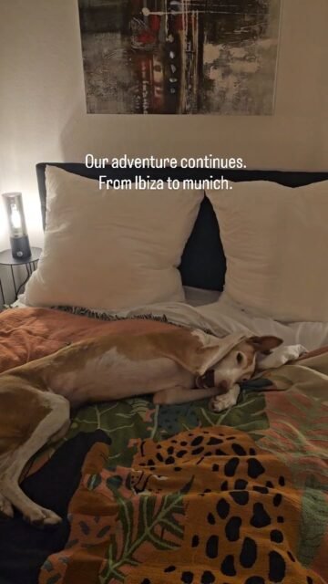 Our adventure continues. We arrived in Munich yesterday.I'm on vacation from today until March 3, but I'll still be available by email, of course.Love, Linda ✨️