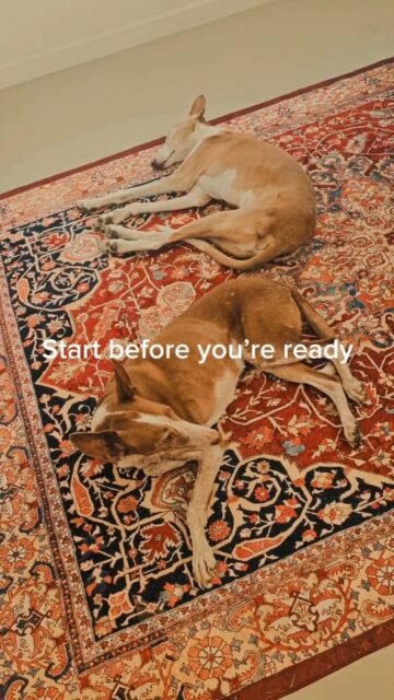 Time and again, the topic of “the right time” comes up as a key moment in my work as an animal communicator when talking with people. People ask about and talk about the right time. The right time to start something new. The right time to move to a new place. The right time to quit a job, end a relationship, start a business, or the right time after the animal has passed away. The right time for simply everything. There is something comforting about this idea. That one day, the circumstances will fall into place. But if there is a “right,” then there must also be a “wrong.” This is precisely where the myth lies, very close and subtle in our thinking and actions. By categorizing things as right and wrong, we build our own walls. Walls for ourselves and also for the possibilities with our animals. Because we fall into judgment. And what does judgment bring us? Nothing at all. It doesn’t get us any further. Instead of staying in our feelings and actions, we limit ourselves. Isn’t it much nicer—and above all, easier—to keep all doors open for this life? Oh yes ✨️