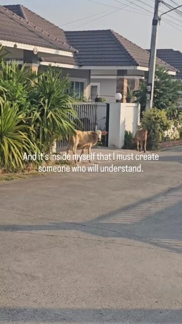 And it's inside myself that I must create someone who will understand.