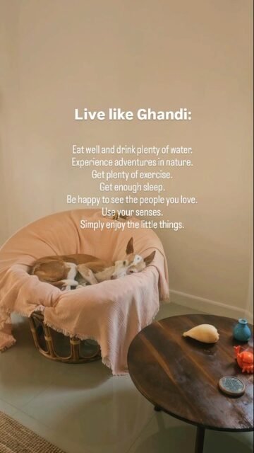 Live like Gandhi:Eat well and drink plenty of water.Experience adventures in nature.Get plenty of exercise.Get enough sleep.Be happy to see the people you love.Use your senses.Simply enjoy the little things.