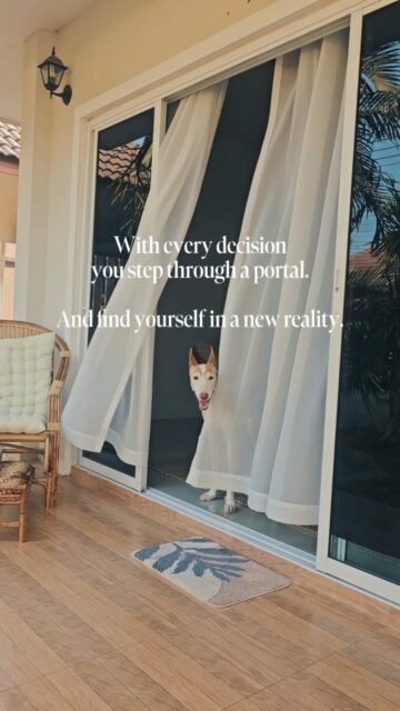 Decisions are like gates.Every choice opens up a new timeline.Every decision is a transition.With every choice, a new path begins.Decisions open up new possibilities.Each one leads you to a different future.With every decision, you step through a portal.And land in a new reality.If you and your animal would like support with one of the many possible portals, I would be happy to serve as your mediator in an animal communication session.