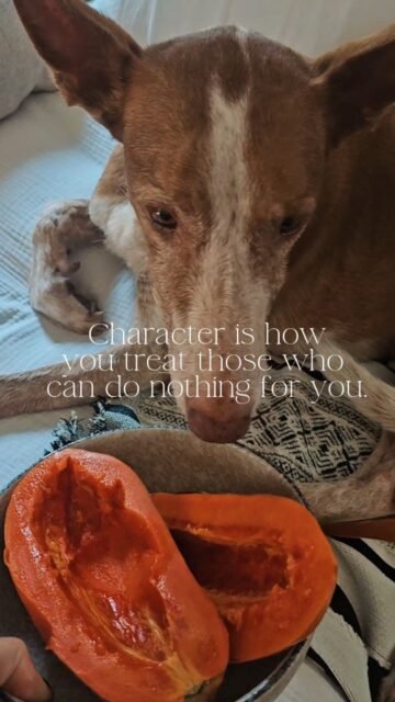 Character is how you treat those who can do nothing for you.Read it again.