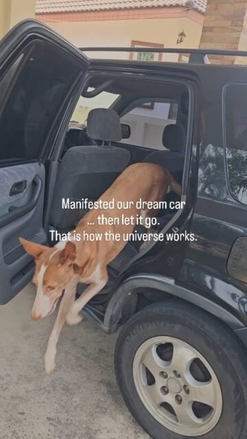 Manifested our dream car… then let it go.That is how the universe works.What have I manifested over the past few months and years?What have I been constantly reflecting on?What have I been working on within myself?The question isn’t whether it will pay off.The question is when.And we’ll leave that up to the universe.