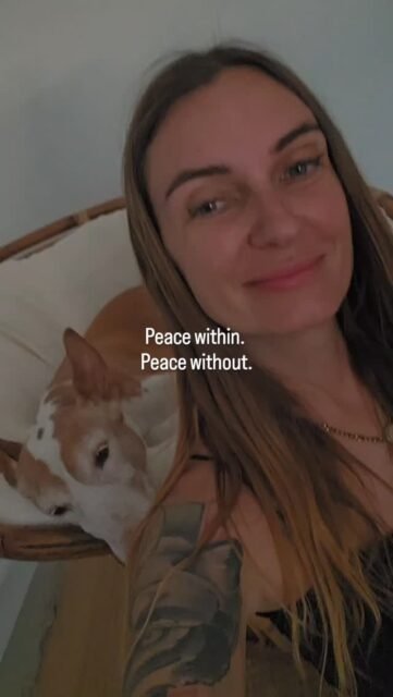 Peace within. Peace without. ✨️