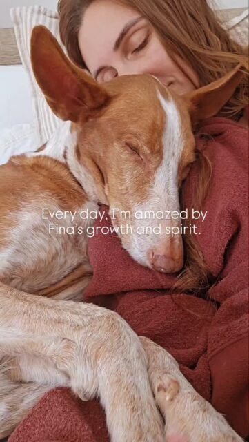 Once again, Fina has discovered something new and learned to love it.She wants to cuddle up close to me, be touched right on the face—and if not, her nose finds my hand.Fina is more curious and courageous than ever before.And if a scary situation does arise... it's quickly forgotten and she looks ahead again.Fina is healing. We never expected it, we just walked the path. Day after day, week after week, month after month, and year after year. We will continue to walk this path.Fina sets her pace, our pace. Because that's how it should be and that's how it will stay.With all the ups and downs. Just as life writes and will always write. This is the cycle of life.Being able to observe, feel, and talk to Fina with humility is an instructive gift. She is teaching me to refine and specialize my antennae once again.