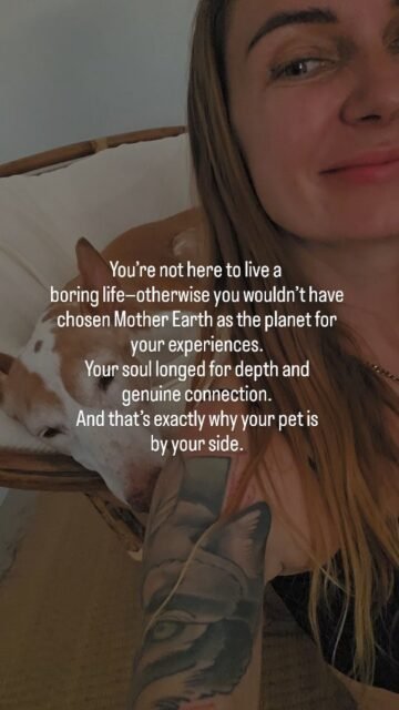 You didn’t choose planet Earth to be bored.Earth is intense. Raw. Real.And that is exactly what your soul wanted to experience.So stop believing that everything is “against you.”You are not a victim of your circumstances—you are here to feel consciously, to grow, and to remember.And your pet? It chose this exact path with you.Not by chance.But as part of your shared soul plan. Voluntarily, of its own free will.It accompanies you and senses you on a levelthat goes far beyond words.Maybe it’s time to stop fighting—and really listen.