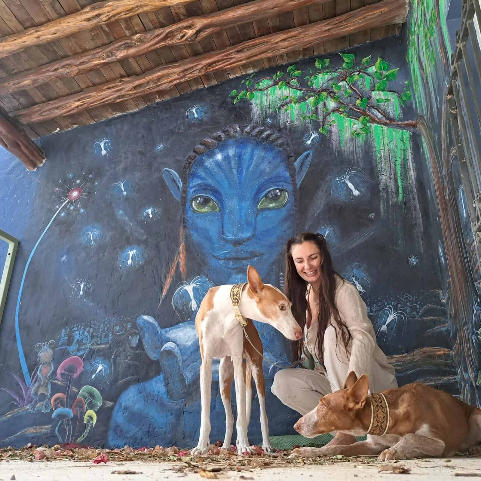 Animal Communiaction dogs