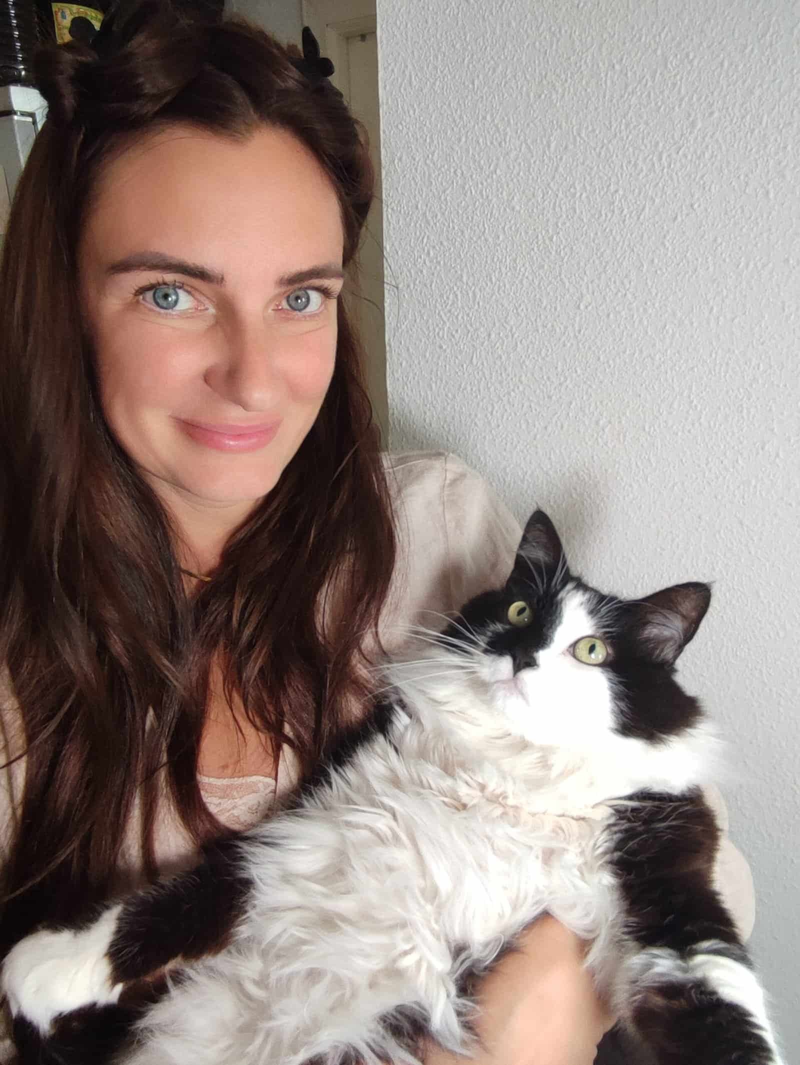 Animal communication cat