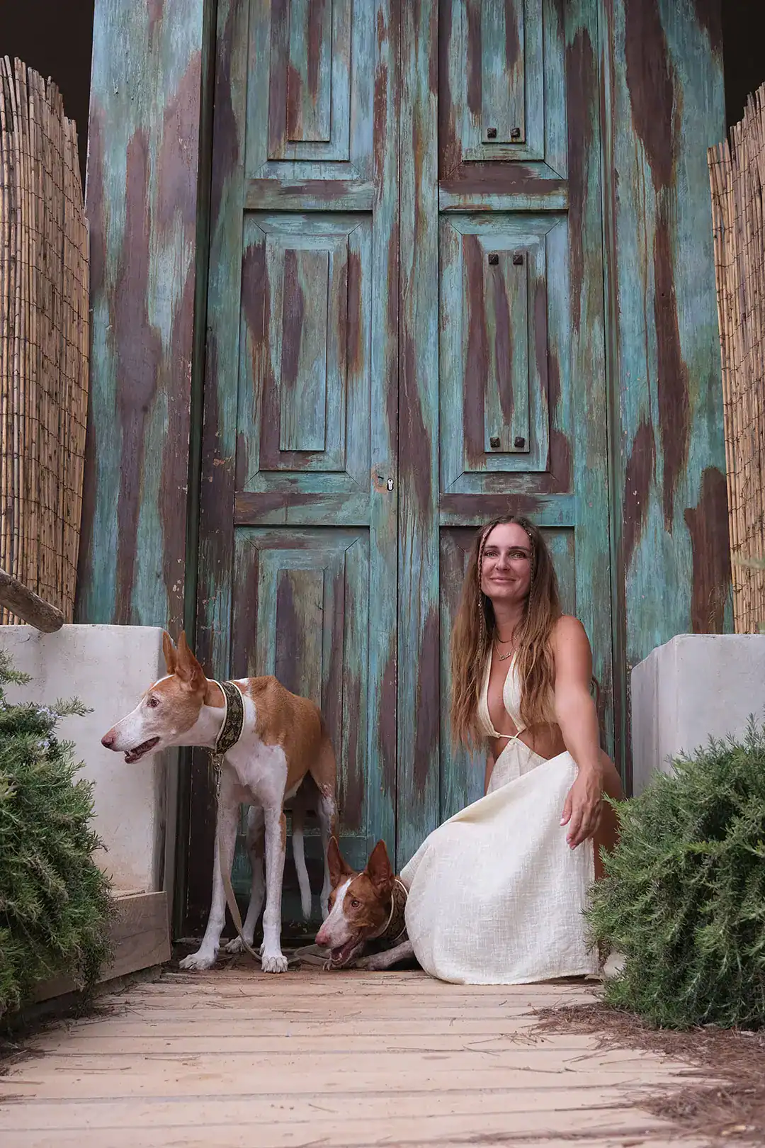 Animal Communication dogs